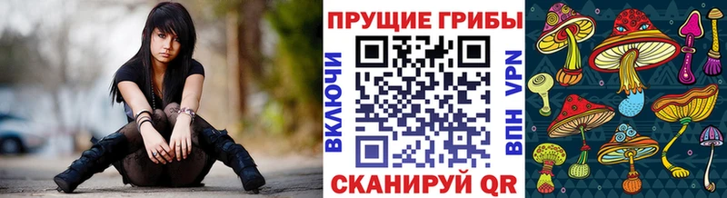 Галлюциногенные грибы мицелий  Купить  Заволжск 